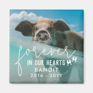 Pig Feet Forever In Our Hearts Pig Photo Magnet