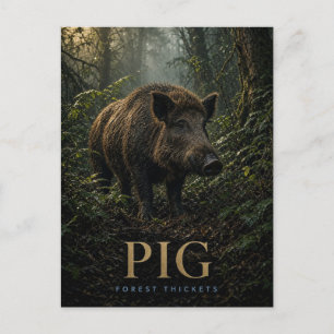 Pig Forest Thickets Wildlife ANIMAL Postcard
