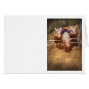 Pig - Getting past hurdles