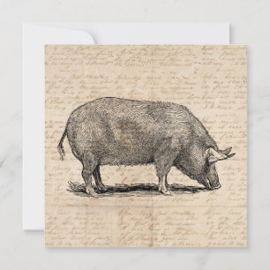 Pig Illustration Antique Art Script Paper Style Invitation