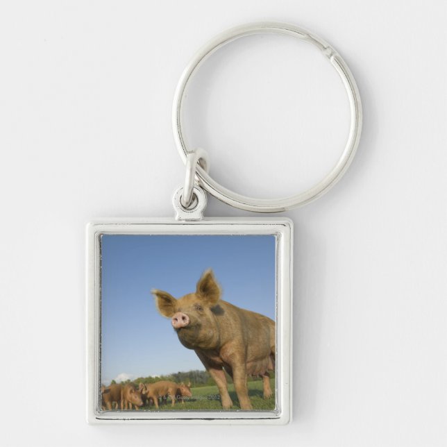 Pig in a Field Key Ring (Front)