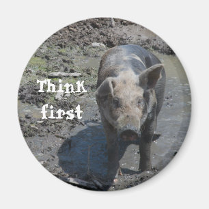 Pig in a Pen Magnet