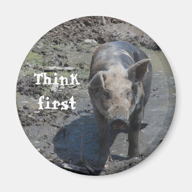 Pig in a Pen Magnet (Front)