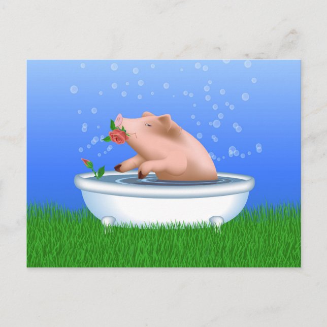Pig in Bath Postcard (Front)
