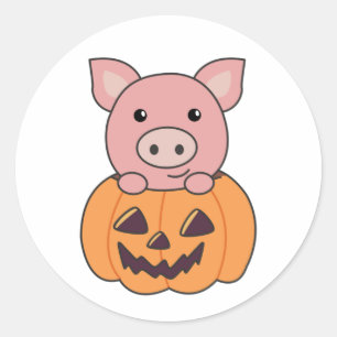 Pig In Pumpkin Sweet Pigs Happy Halloween Classic  Round Sticker