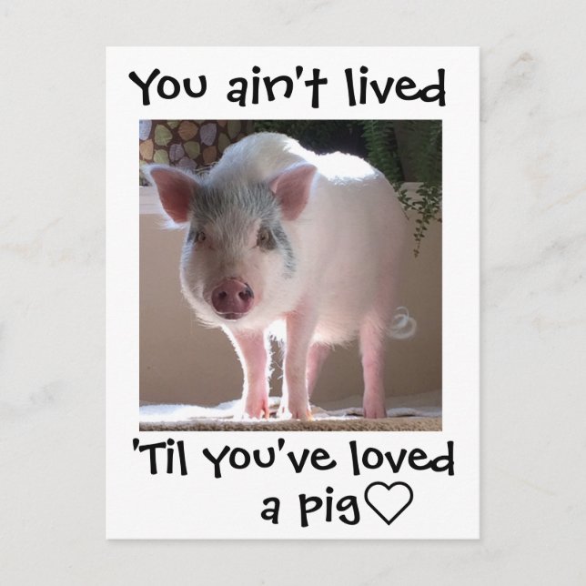 Pig lovin' postcard (Front)