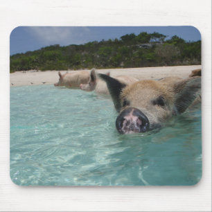 pig mouse pad