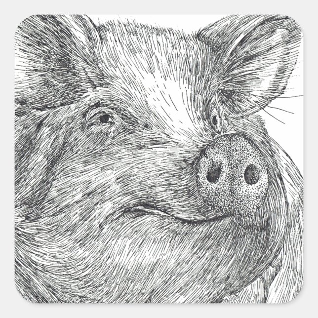 Pig Piglet Square Sticker (Front)