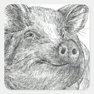 Pig Piglet Square Sticker
