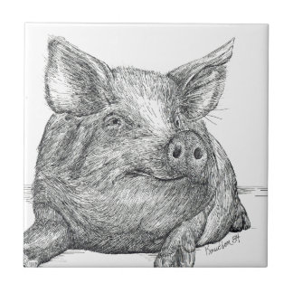 Pig Piglet Tile