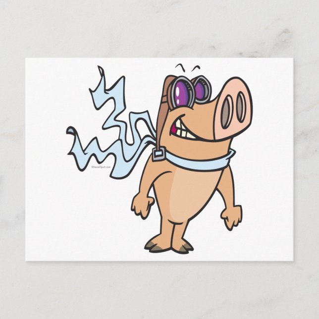 pig pilot cartoon postcard (Front)