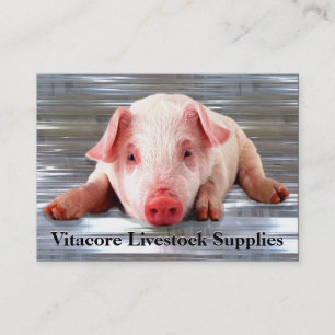 Pig  Professional Business Card