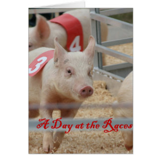Pig racing, Pig race photograph, pink pig