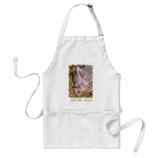PIG STANDARD APRON (Front)