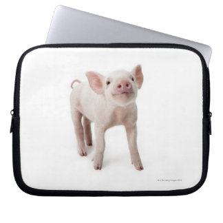 Pig Standing Looking Up Laptop Sleeve