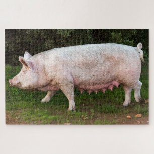 Pig Teats Funny Photo Jigsaw Puzzle