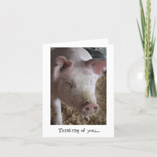 Pig Thinking of You Card