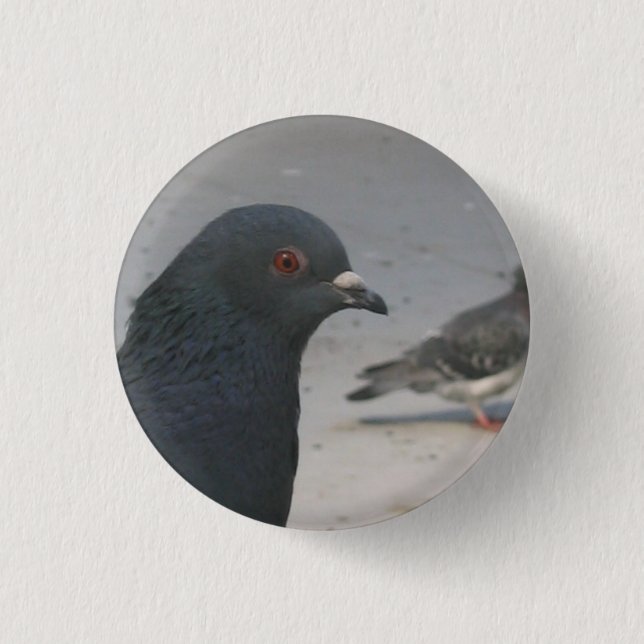 Pigeon 3 Cm Round Badge (Front)