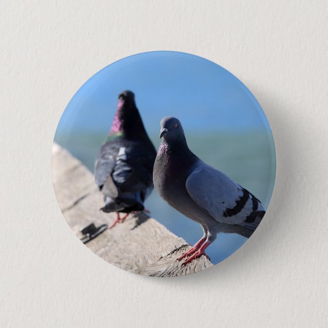 Pigeon 6 Cm Round Badge (Front)