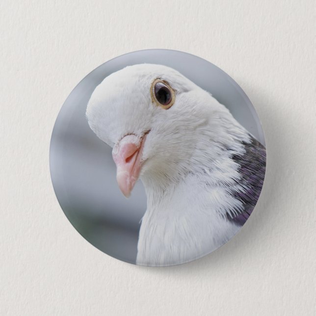 Pigeon 6 Cm Round Badge (Front)