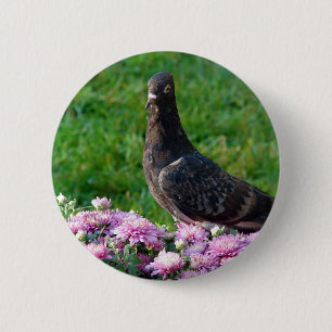 Pigeon and Mums 6 Cm Round Badge