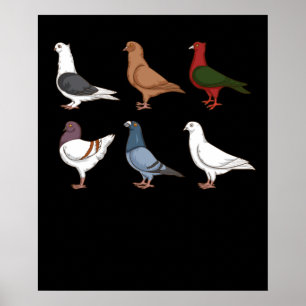 Pigeon Breeding Gift Men Pigeon Racing Pigeon Poster
