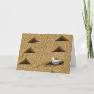 Pigeon Card