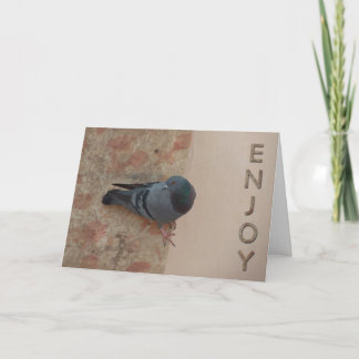 pigeon celebration card