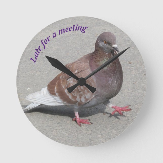 Pigeon clock (Front)