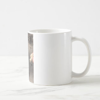 pigeon coffee mug