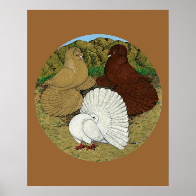 Pigeon Combo Poster (Front)