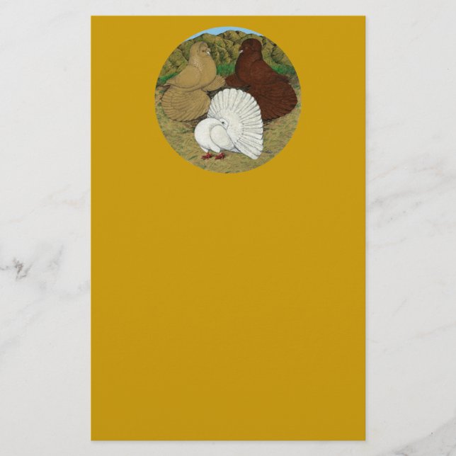 Pigeon Combo Stationery (Front)