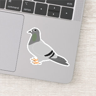 Pigeon Design