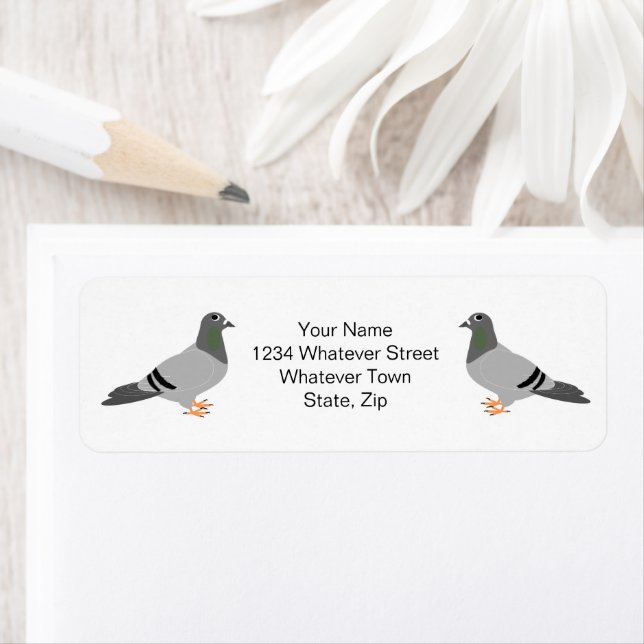 Pigeon Design Return Address (Insitu)