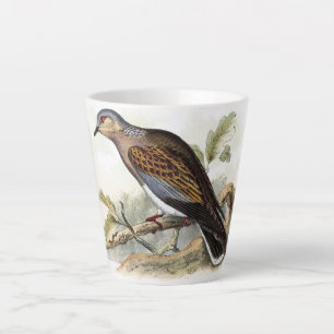 Pigeon Dove Streptopelia Painting Nature Birds Art Latte Mug