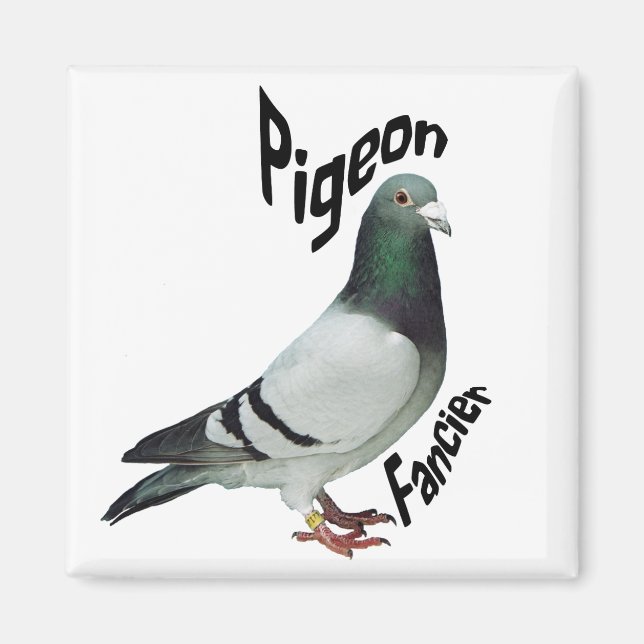 Pigeon Fancier Magnet (Front)