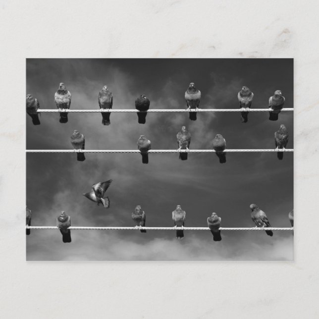 Pigeon Foosball Post Card (Front)