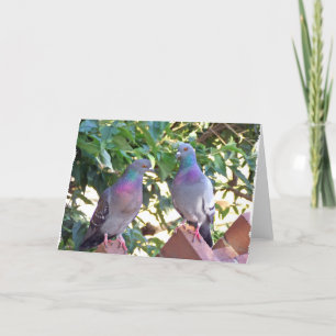 Pigeon friends - Card