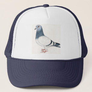 Pigeon Hat