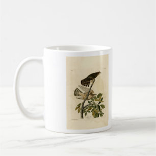 Pigeon Hawk (Merlin) - Audubon's Birds of America Coffee Mug