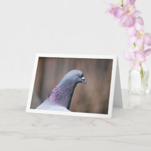 Pigeon Head Portrait Card