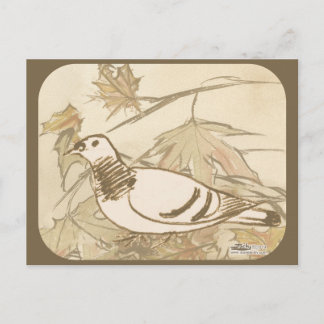 Pigeon In the Woods Postcard