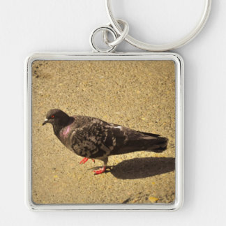 Pigeon Key Ring