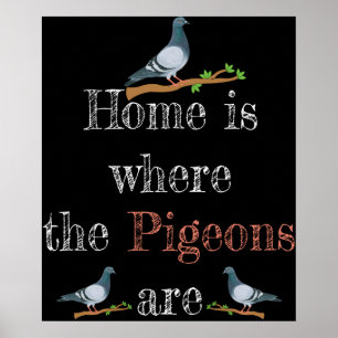 Pigeon Lover Pigeon Racing Gift Pigeon Breeding Poster