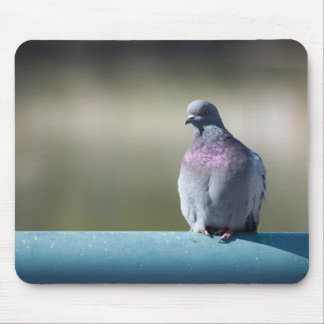 Pigeon Mouse Pad