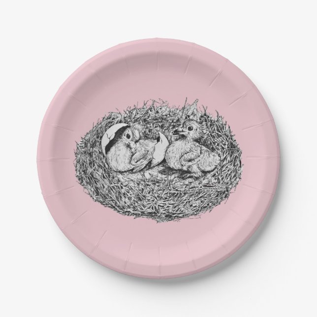 Pigeon Nest Babies Paper Plate (Front)