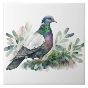 Pigeon On A Spruce Tree  Tile
