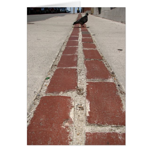Pigeon On the Freedom Trail (Front)