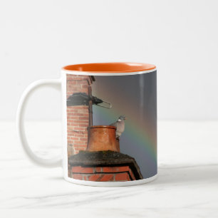 Pigeon on the Pot with Rainbow Mug