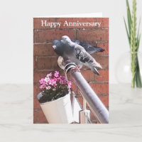 Pigeon pair and Flowers editable anniversary 